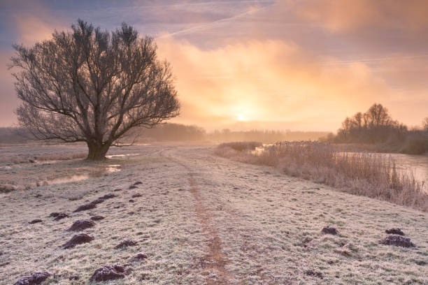 istock Sunrise over a frozen landscape in The Netherlands 1085225780