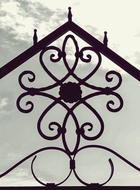 Функциональная красота