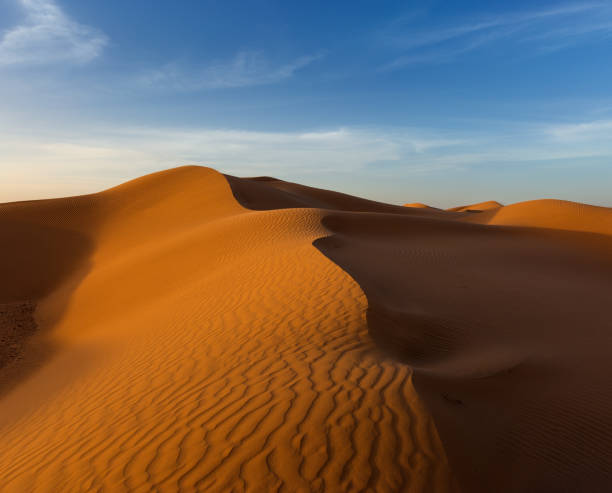 istock landscape in desert at sunset 1085234328