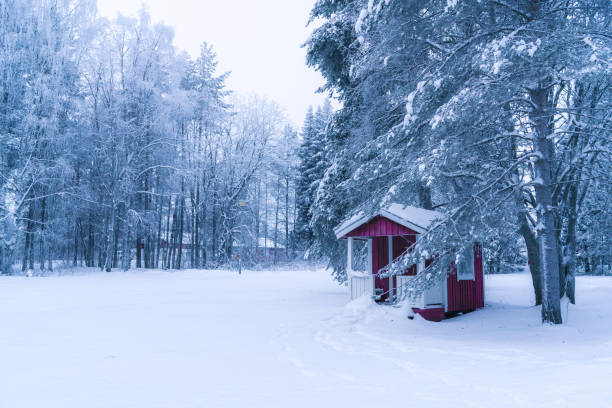 istock A small hut in forest in winter 1085236900
