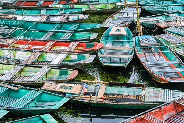 istock Rowboats in Ninh Binh, Vietnam 1085243058