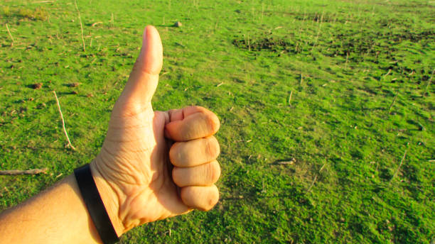 istock Hand pointing towards the green background landscape 1085244154