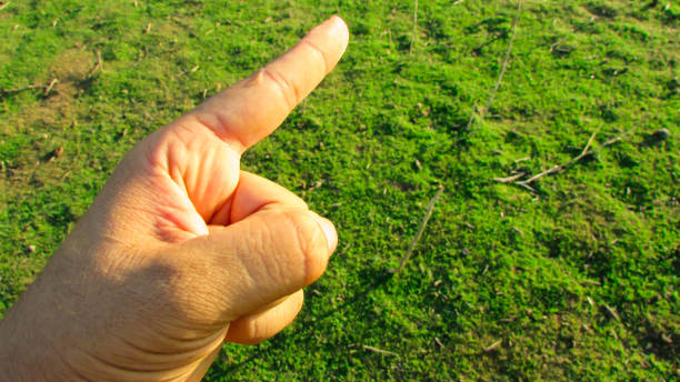 istock Hand pointing towards the green background landscape 1085249630