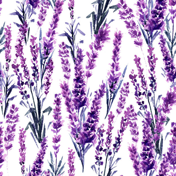 Lavender Seamless Pattern. Watercolor or Aquarelle Paintings of Lavandula. vector art illustration