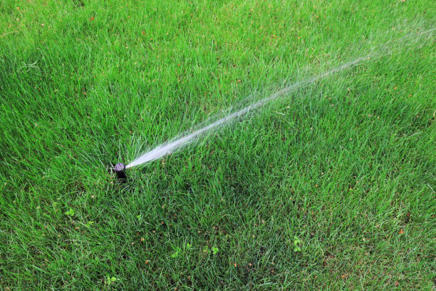 istock Sprinkler irrigation facilities in the lawn 1085251890