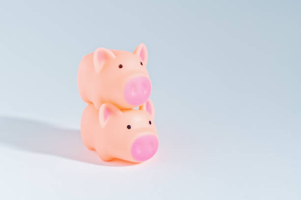 istock Happy Chinese New Year 2019 symbol is pig 1085252630