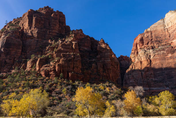 istock Scenic Zion National Parek Landscape 1085284812