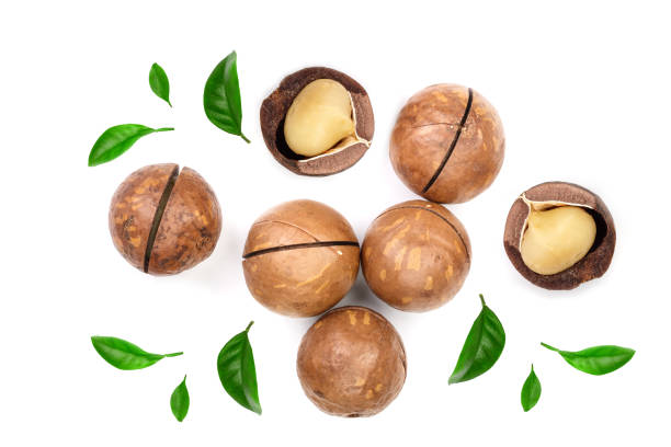 istock unshelled macadamia nuts isolated on white background. Top view. Flat lay pattern 1085286896