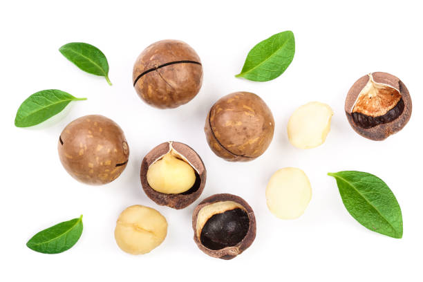 istock Shelled and unshelled macadamia nuts with leaves isolated on white background. Top view. Flat lay pattern 1085286914