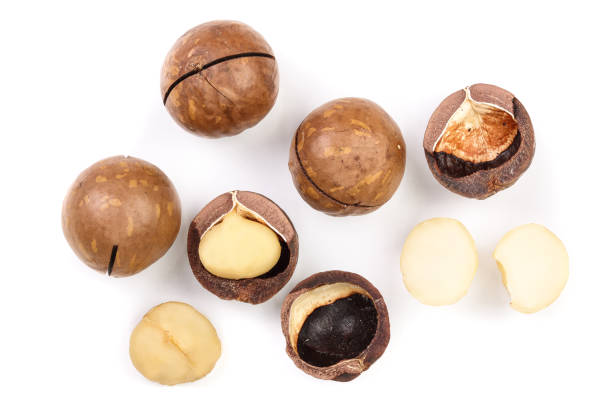 istock Shelled and unshelled macadamia nuts isolated on white background. Top view. Flat lay pattern 1085286920