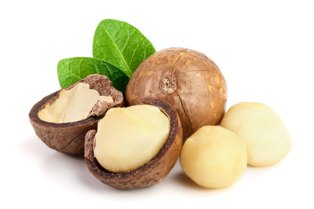 istock Shelled and unshelled macadamia nuts with leaves isolated on white background 1085286932