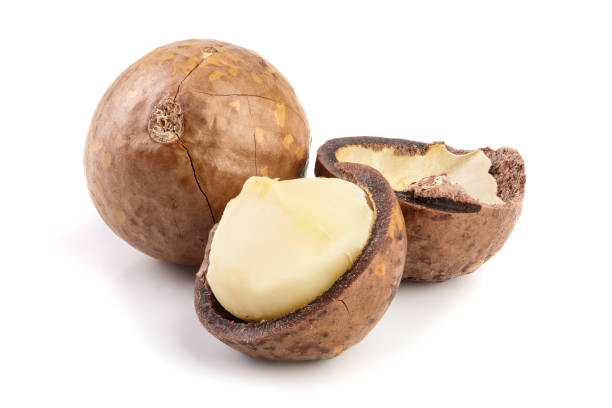 istock Shelled and unshelled macadamia nuts isolated on white background 1085286972