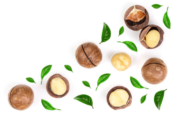 istock Shelled and unshelled macadamia nuts with leaves isolated on white background with copy space for your text. Top view. Flat lay pattern 1085286974