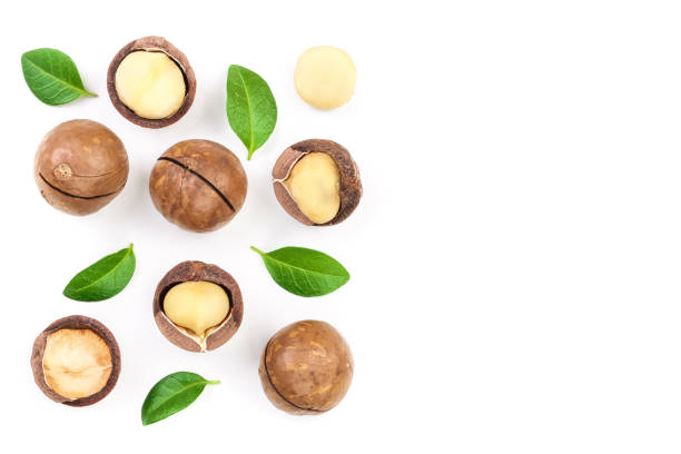 istock Shelled and unshelled macadamia nuts with leaves isolated on white background with copy space for your text. Top view. Flat lay pattern 1085286976