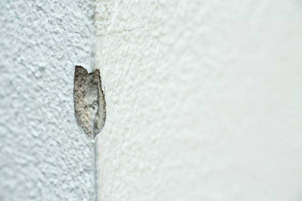 istock Abstract white cracked concrete texture background, Close up & Macro shot, Selective focus 1085288068