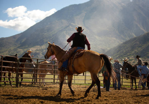 istock Roping cattle for branding in Utah 1085288702