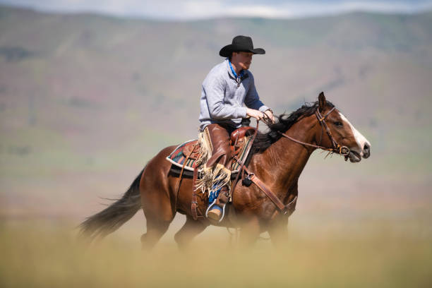 istock Cowboy galloping in Utah, USA 1085289822