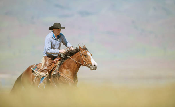 istock Cowboy galloping in Utah, USA 1085289954