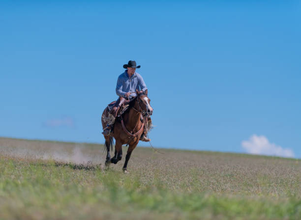 istock Cowboy galloping in Utah, USA 1085289960