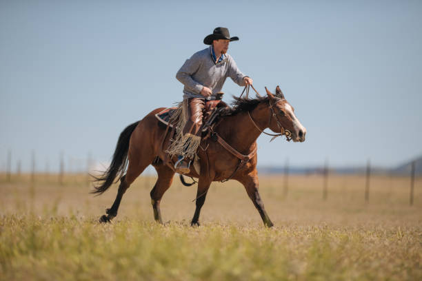 istock Cowboy galloping in Utah, USA 1085290144
