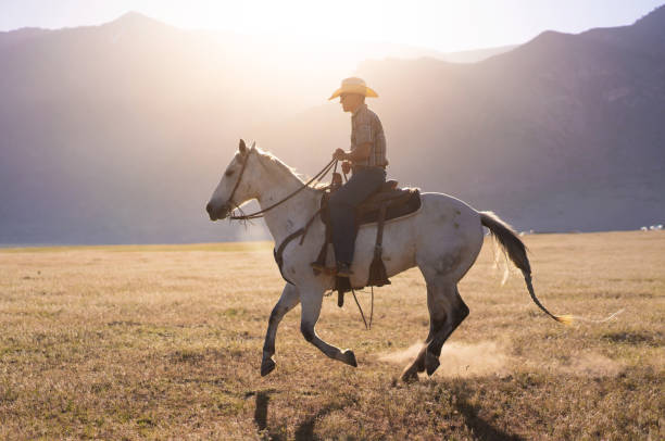 istock Cowboy Horseback Riding at sunrise 1085292810