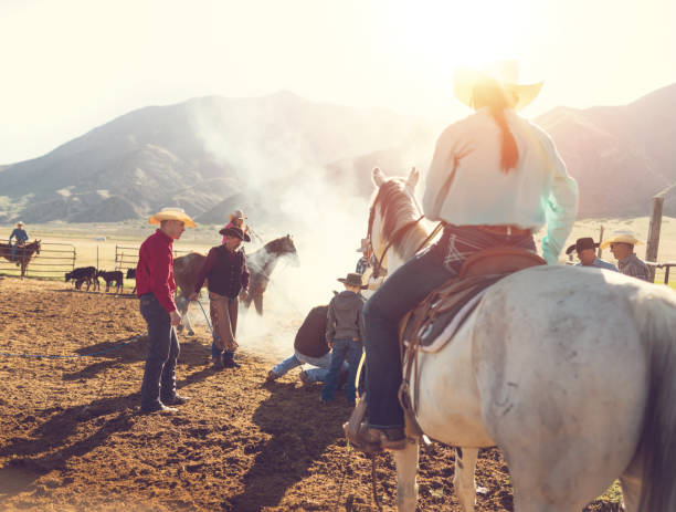 istock Roping cattle for branding in Utah 1085293354