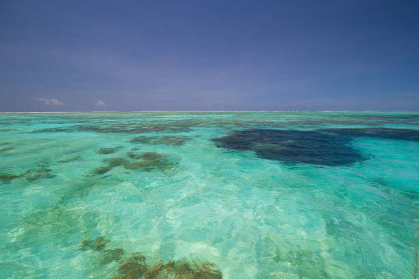 istock Zanzibar, landscape sea 1085293428
