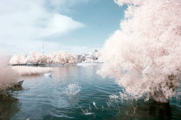 istock Infrared Photo of landscape 1085293626