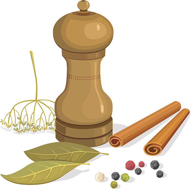 Pepper shakers, bay leaf, dill, cinnamon vector art illustration