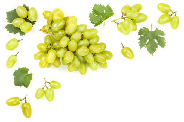 istock green grapes isolated on the white background with copy space for your text. Top view. Flat lay pattern 1085297778