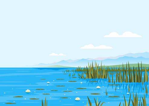 Lake with water lily and bulrush plants nature landscape illustration, fishing place, pond with blue water and mountains in distance, lake travel background picturesque terrain on a windless day