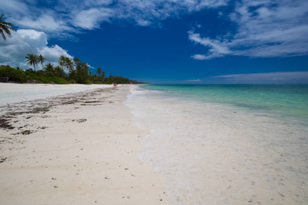istock Zanzibar, landscape sea, white sand 1085313352
