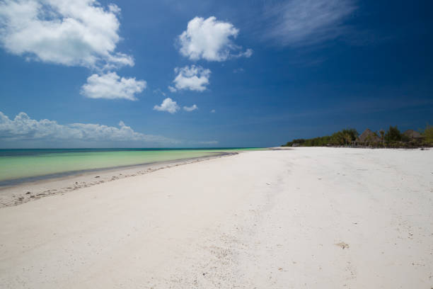 istock Zanzibar, landscape sea, white sand 1085313618