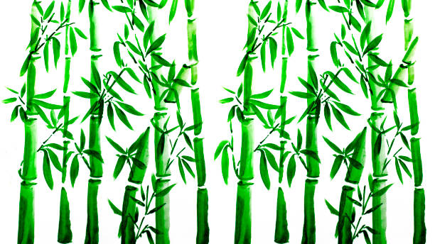ręcznie rysowane zielone liście bambusa i zestaw gałęzi, malowanie tuszem. tradycyjne suche malowanie pędzlem kaligraficznym. (odizolowane na białym tle) - bamboo watercolor painting isolated ink and brush stock illustrations