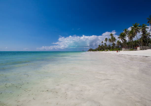 istock Zanzibar, landscape sea, palms beach 1085315650