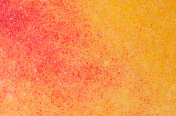 macrofotografía de la piel de un durazno orgánico - nectarine peaches peach abstract fotografías e imágenes de stock