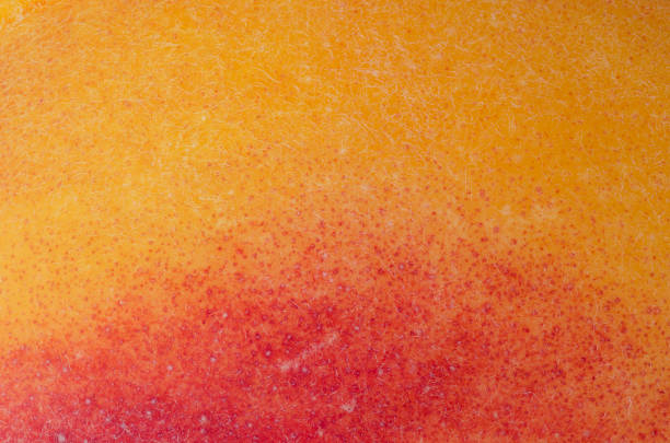 macrofotografía de la piel de un durazno orgánico - nectarine peaches peach abstract fotografías e imágenes de stock