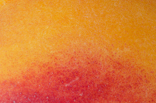 макро фотографии кожи органического персика - nectarine peaches peach abstract стоковые фото и изображения