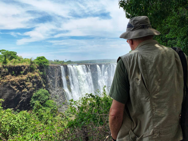 турист, глядя на водопад виктория видно из зимбабве стороны - mobilestock outdoors horizontal rear view стоковые фото и изображения