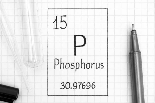 The Periodic table of elements. Handwriting chemical element Phosphorus P with black pen, test tube and pipette. Close-up.