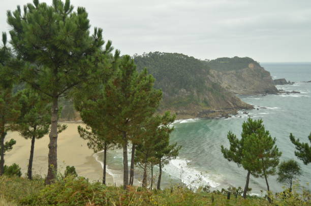 istock Viewpoint From Which You Can See Through The Trees Oleiros Beach On A Rainy Day. J 1085339550