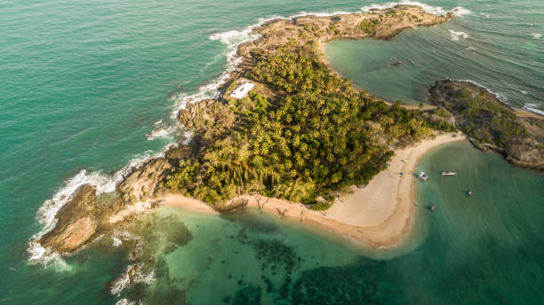 istock Santo Aleixo Island - Pernambuco / Brazil 1085344426