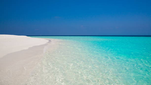 istock Maldives,  tropical sea background 2! 1085355648