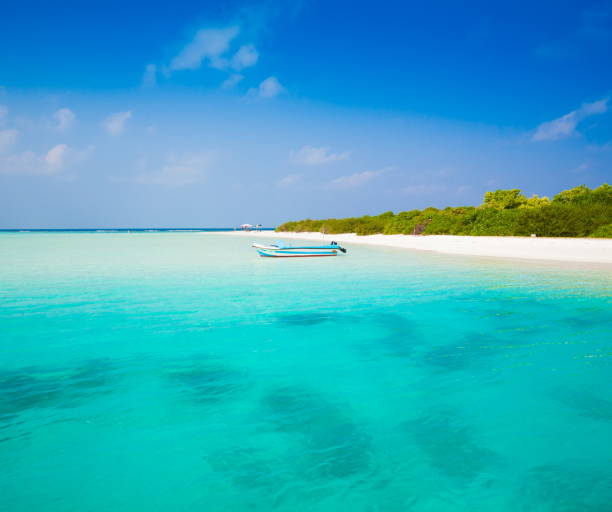 istock Maldives,  tropical sea boat day! 1085356260