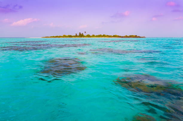 istock Maldives,  tropical sea background 3! 1085356556