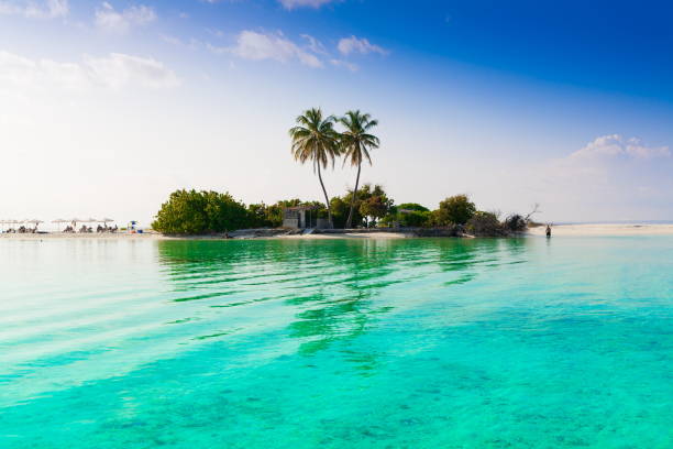 istock Maldives,  tropical sea background 2! 1085356628