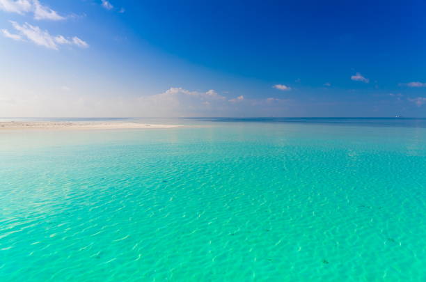 istock Maldives,  tropical sea background 3! 1085356698