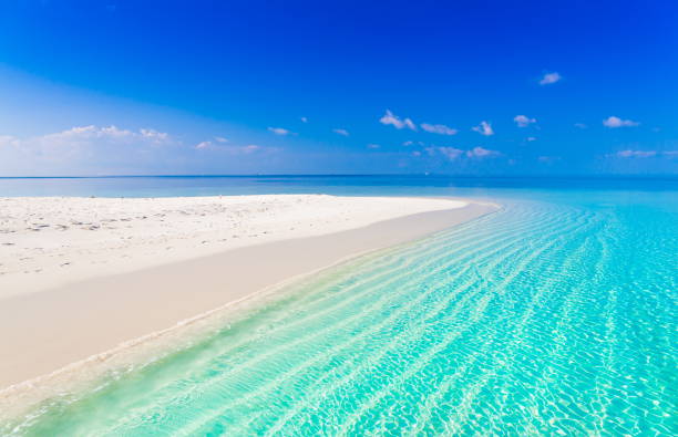 istock Maldives,  tropical sea background 3! 1085356700
