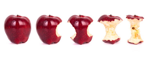 cronología de comer una manzana (xxxl - secuencia de imágenes fotografías e imágenes de stock