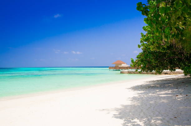 istock Maldives,  tropical sea background 3! 1085358266